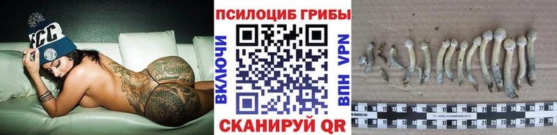 Псилоцибиновые грибы прущие грибы Верхний Тагил